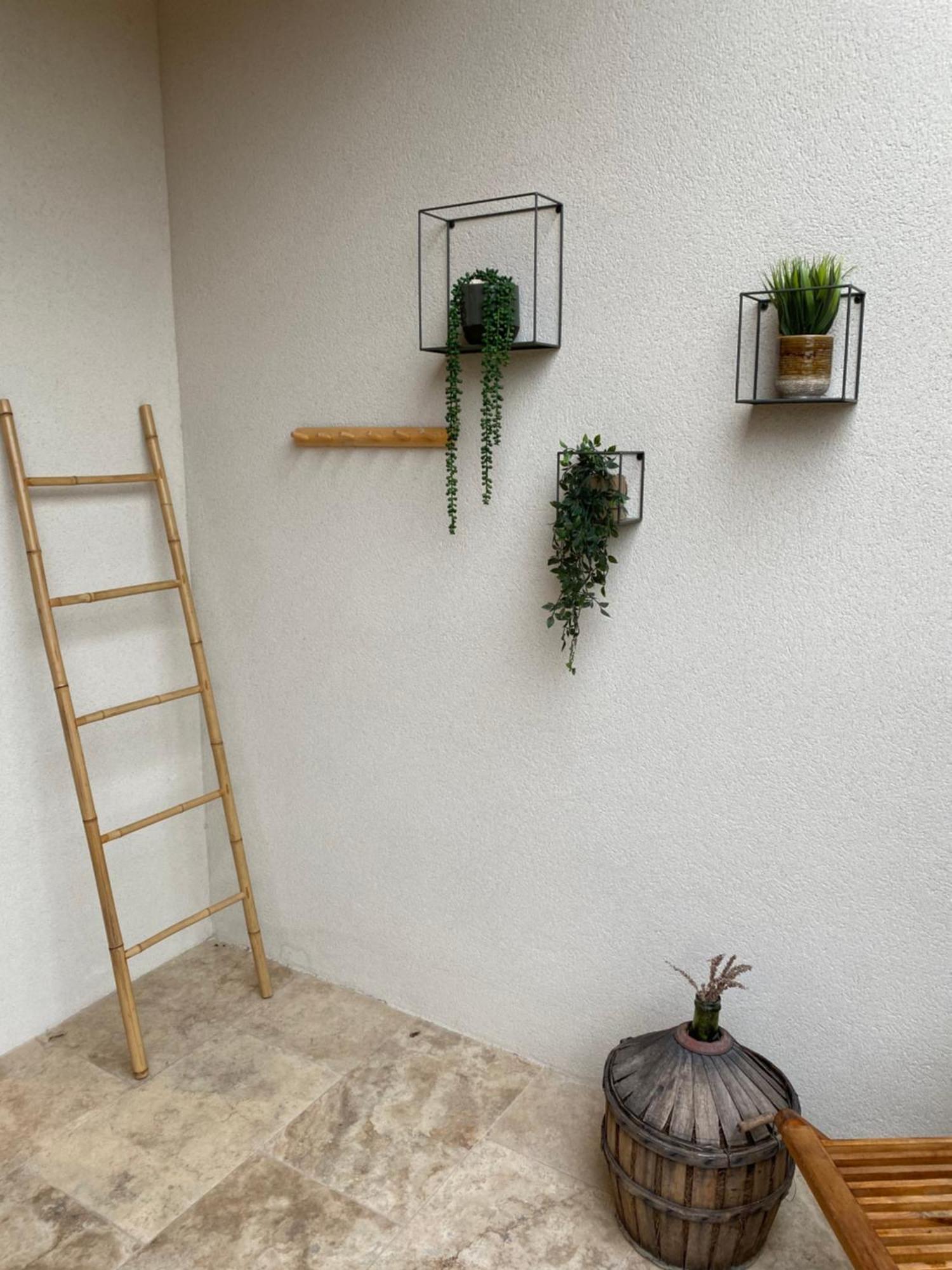 Les Logis De Cocagne Daire Saint-Rémy-de-Provence Dış mekan fotoğraf